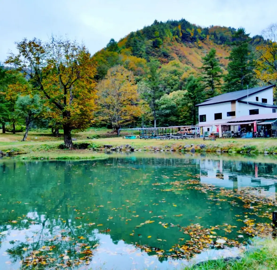 Iwana Village