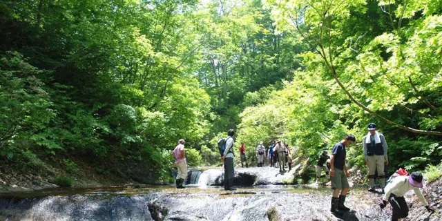 Megumi no Mori Forest