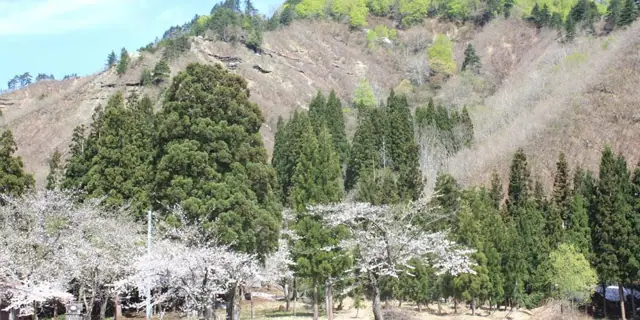 Mount Yogai
