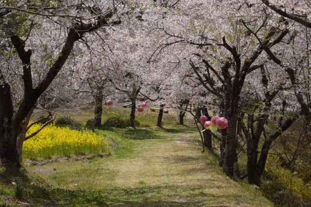 Yunomori Park