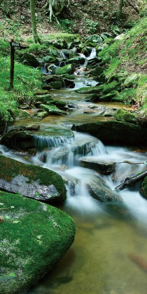 Higashino Stream