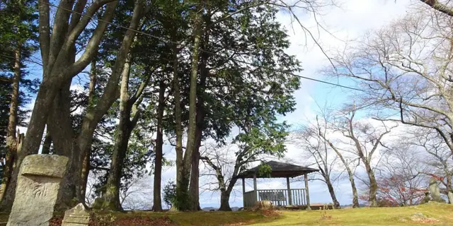 Odera Castle Ruins Park