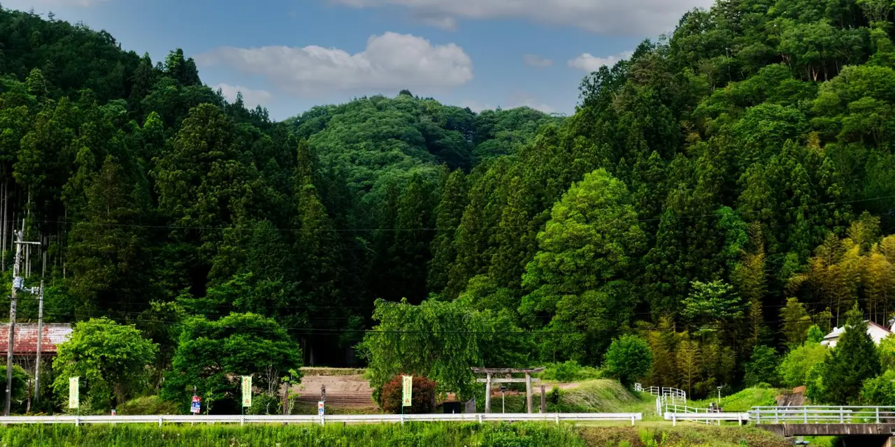 Sho Fujisan