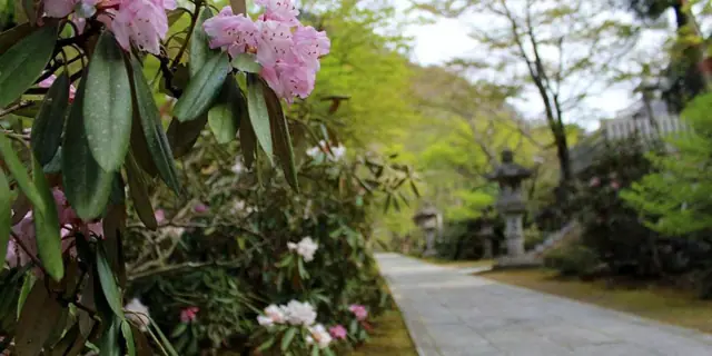 Yamamoto Park (Okukuji Prefectural Nature Park)