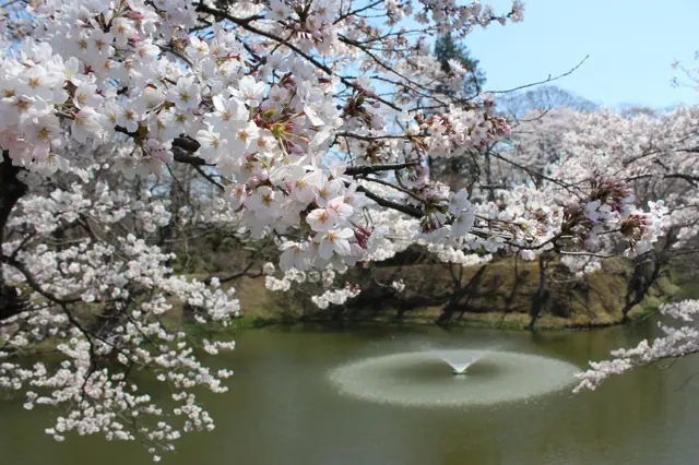Tanagura Castle Ruins (Kamegajo Park)