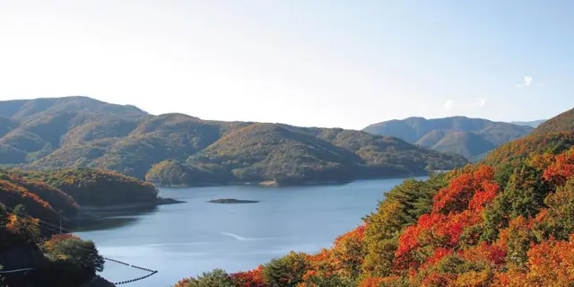 Autumn Leaves of Lake Hatori