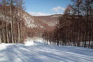 Ski Resort Ten-ei