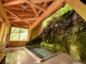Kashiwaya Ryokan (Futamata Onsen)