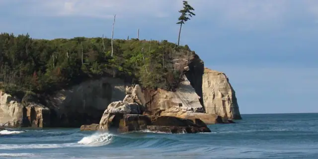 Rosoku Rock