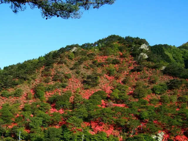 Yamatsuriyama Park