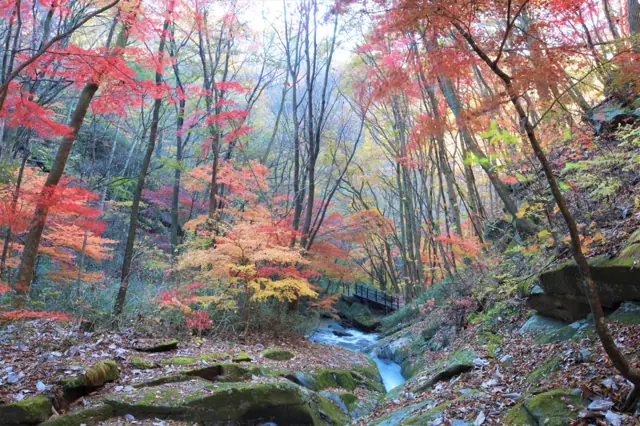 Takigawa Gorge