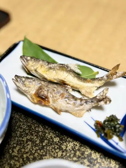 Ryokan Naka no Yu