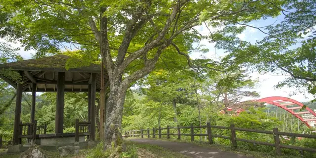 Zuikoji Park