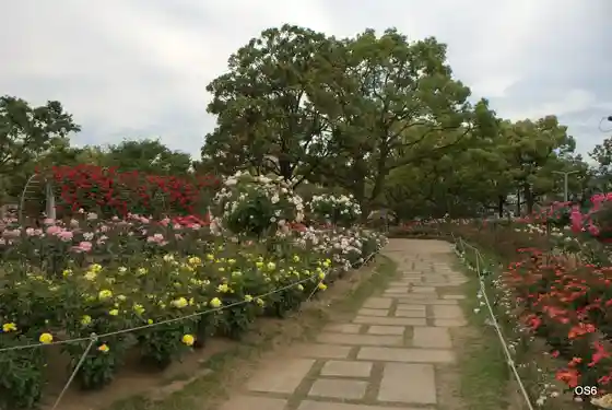 Fukuyama Rose Park