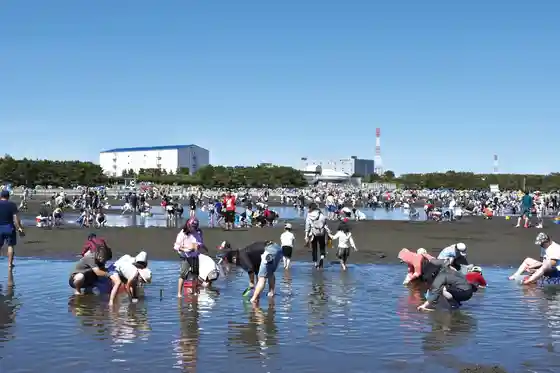 Shiohigari Ri / Funabashi Samban Se Seaside Park