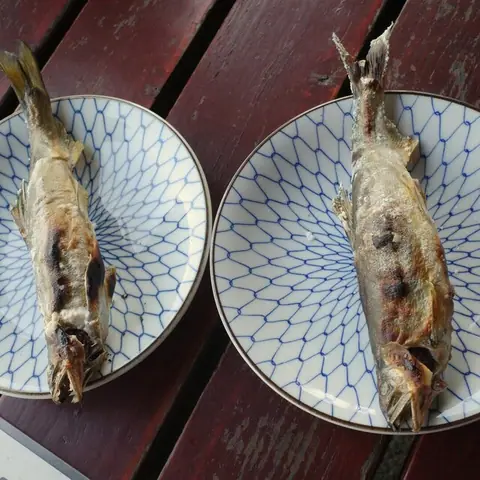 鮎場 あたご