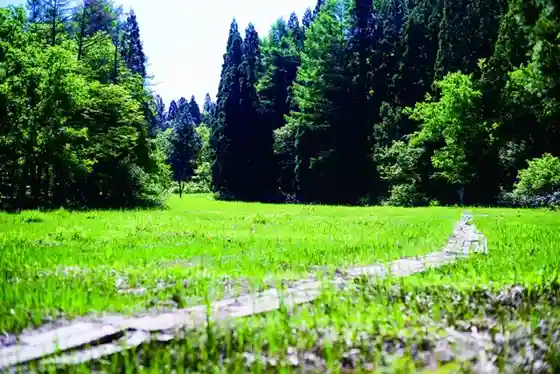 Tesomori Shitsugen