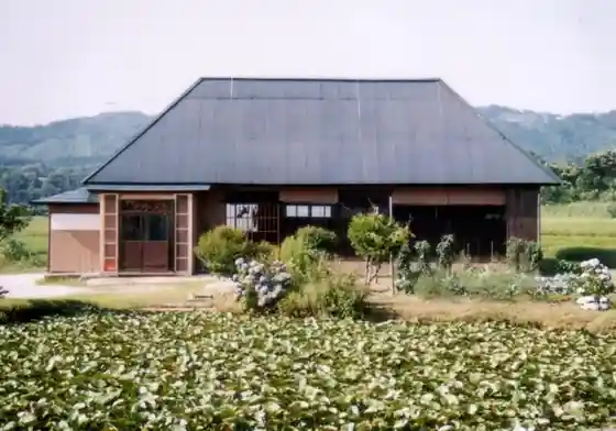 Buna no Mijuku