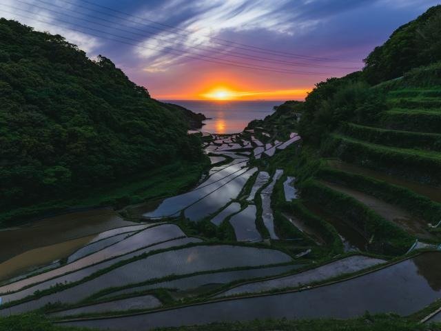 Hamanoura Rice Terraces