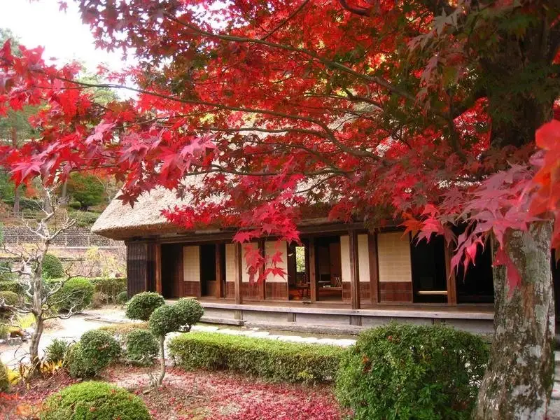 Gero Onsen Gassho Village no Autumn Leaves