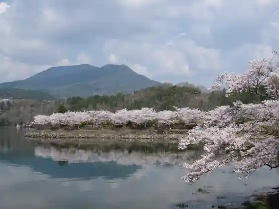 Ena Gorge Sazanami Plaza Cherry Blossoms