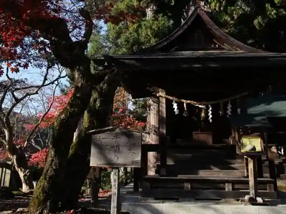 Lord Mitsuhide's Hand-Planted Maple