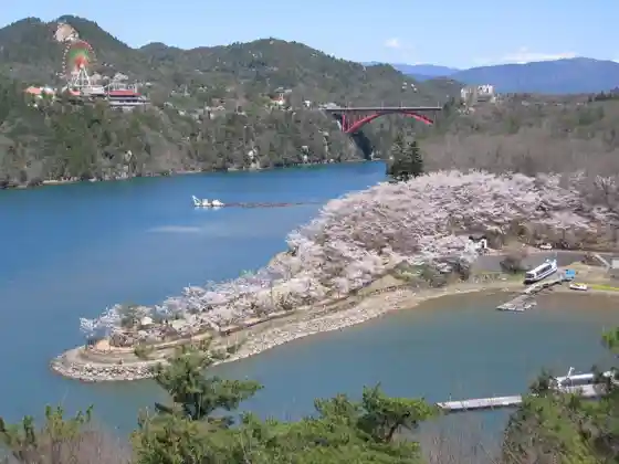Ena Gorge Cherry Blossoms