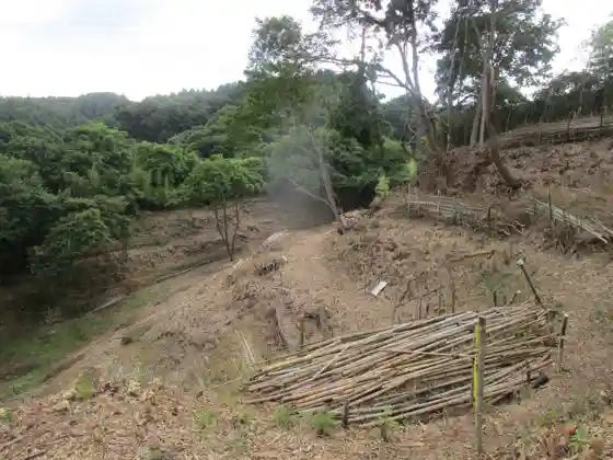 Iibama Castle Ruins
