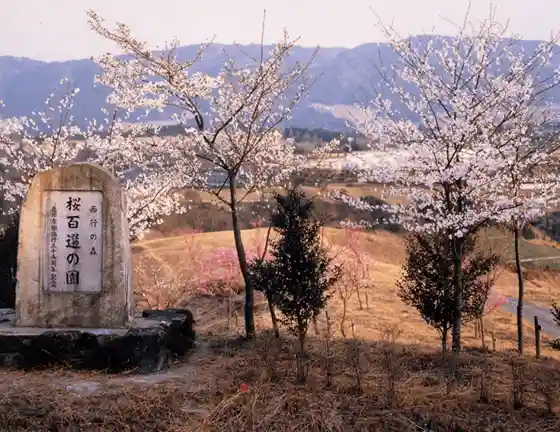 Saigyo's Forest