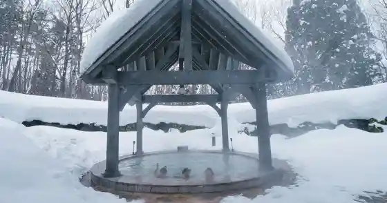 Maki Hana Onsen