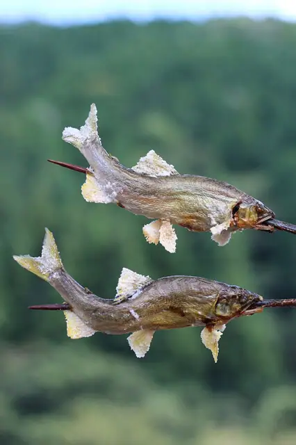 Michi No Eki Kokon Denju No Sato Yamato