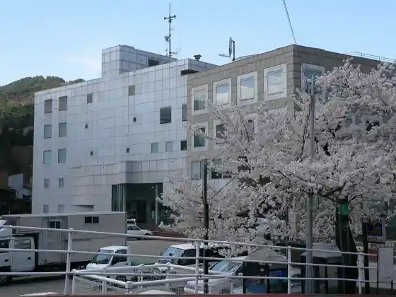 Kamioka Promotion Office Cherry Blossoms