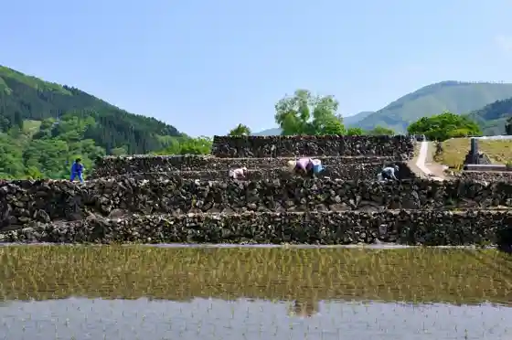 Tomorrow's Treasure: Rice Terrace and Itakura Landscape and Mountain Village Culture