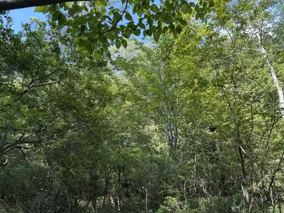 Etsuhara Hananoki Habitat
