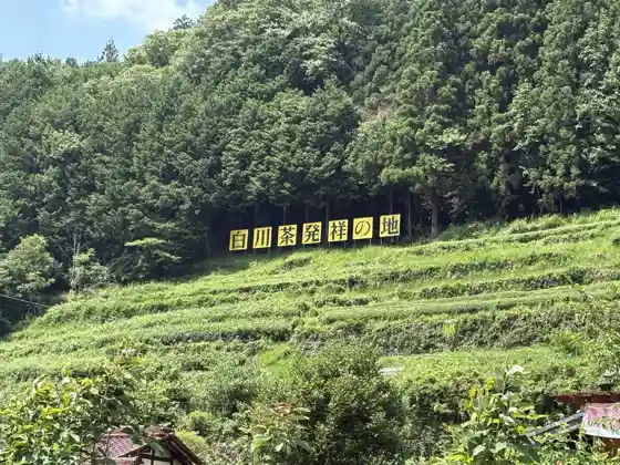 Birthplace of Shirakawa Tea