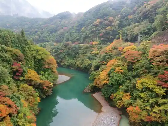 Ibikyo Autumn Leaves