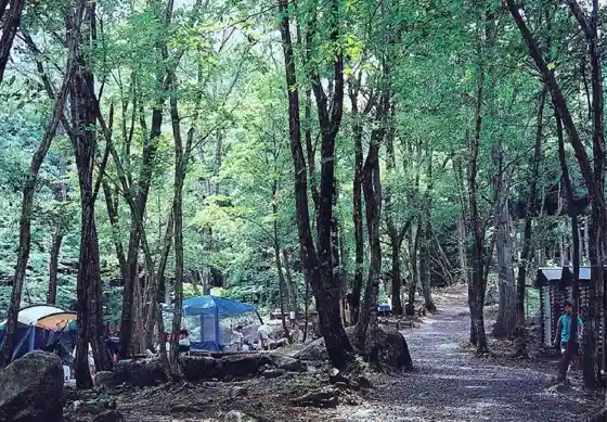 Choja no Sato Campground