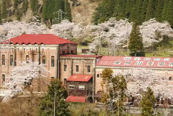 Ibiden Toyoko Yama Power Station Cherry Blossoms