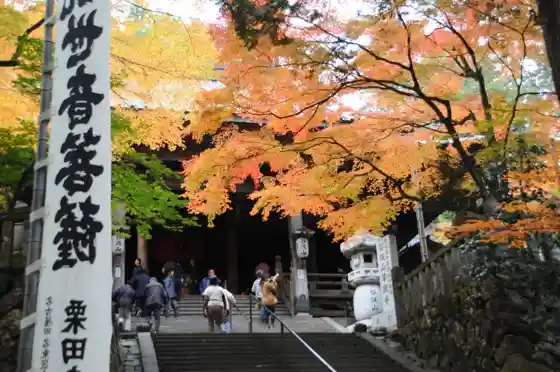 Autumn Leaves at Tanigumisan Kegon Temple
