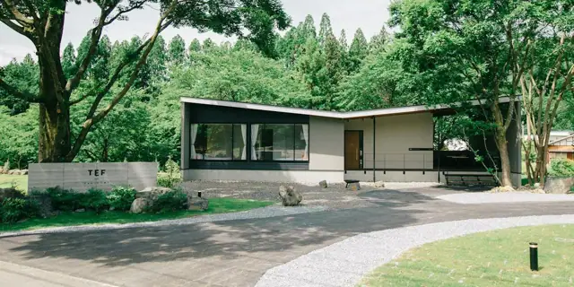 TEF TANIGUMI