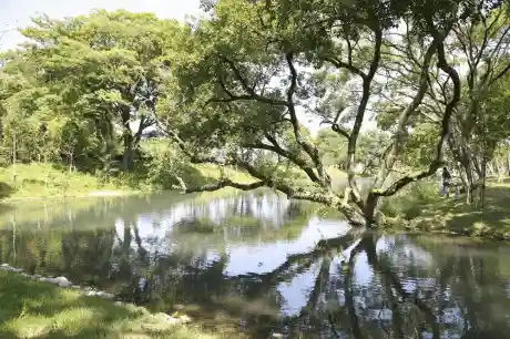Kasekiko Park