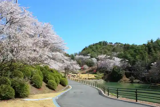 Yamakusunoki Park