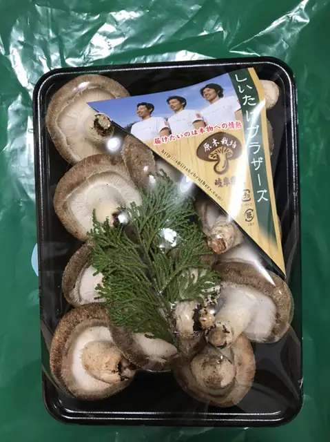 Shitake Burazazu