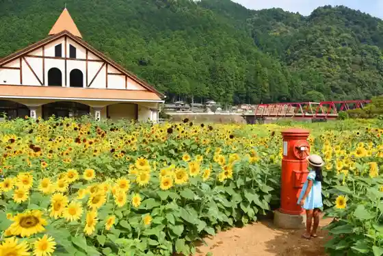 Suhara Sunflower Village