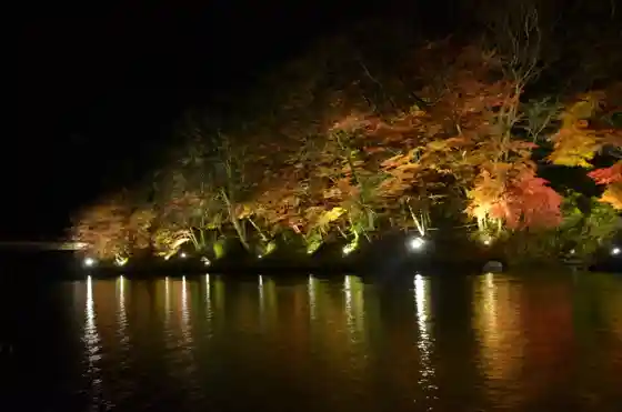 Maple Leaves at Sukemon Sa
