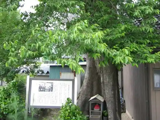 Kokuzo Hall and Jokyu Rebellion Battlefield Site