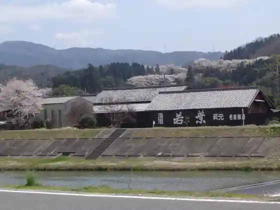 Wakaba