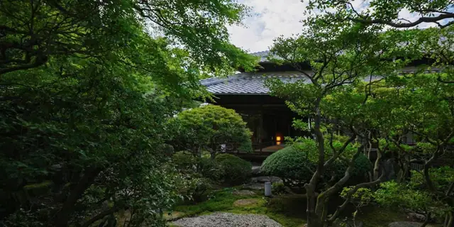 Kaeru ~KAWAZU~
