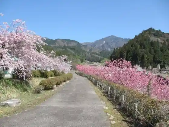 Yubunezawa River Park