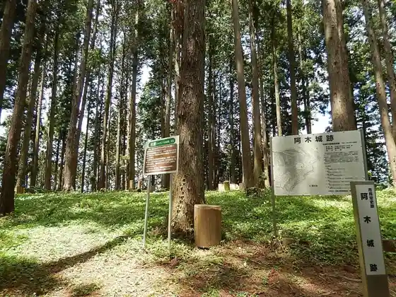 Agi Castle Ruins